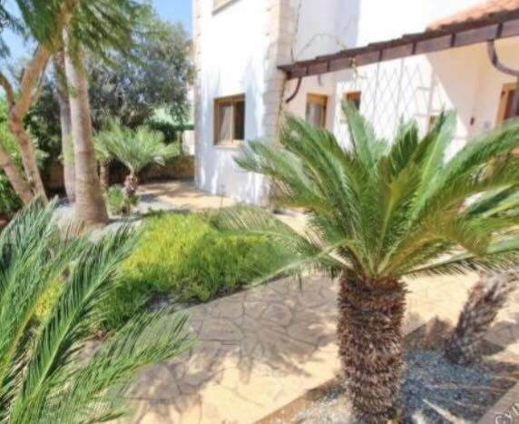 Sunrise Villa Ayia Napa Eksteriør billede